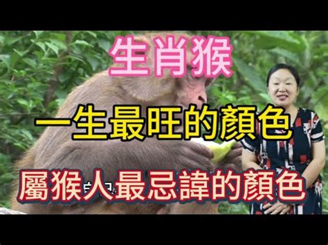 屬猴適合的名字|生肖猴取名宜忌：打造一生旺運好名字